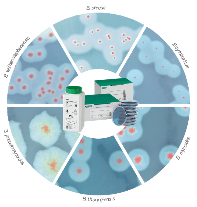 Cty TNHH Khoa học Hợp Nhất Sản phẩm BioRad